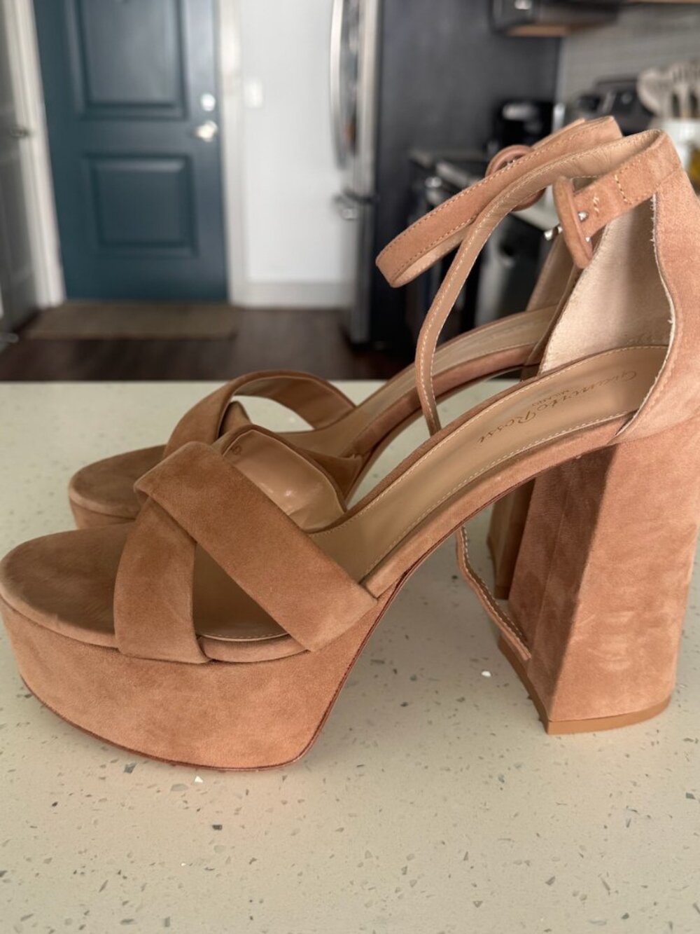 Gianvito Rossi Suede Platform Heels